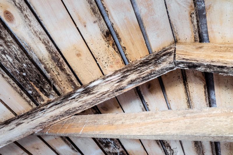 Wood Rot Repair Service