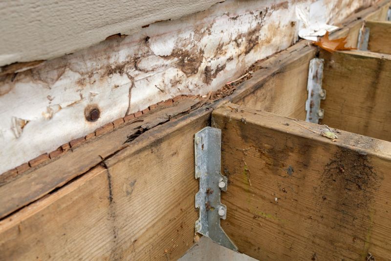 Wood Rot Repair Service