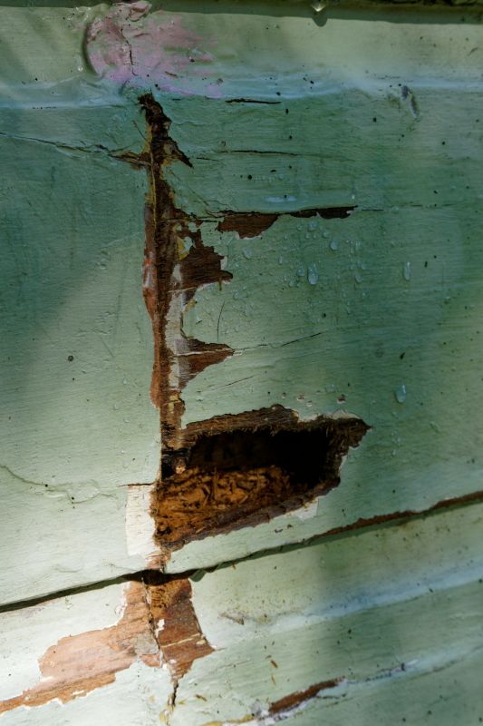 Decayed Wood Replacement in Alpharetta, GA