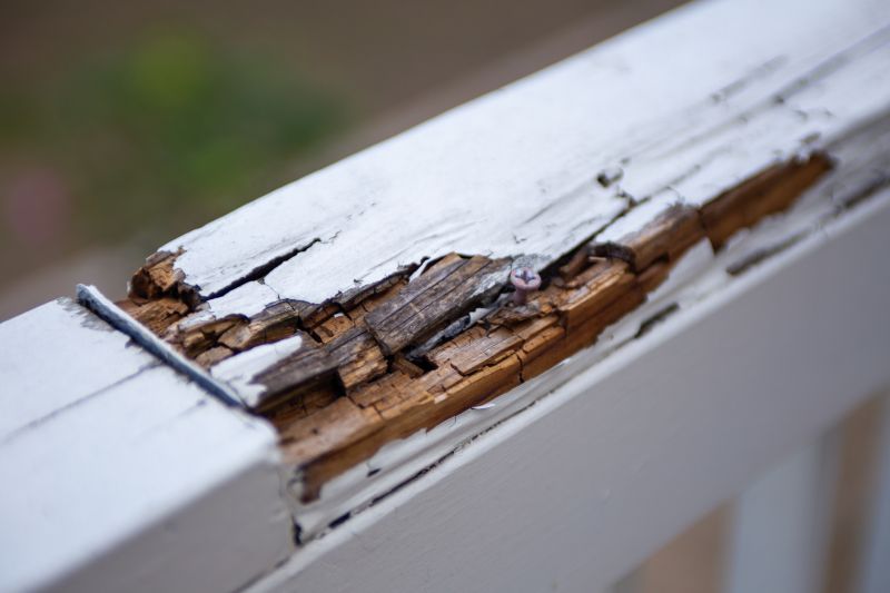 Rot Repair Service in Denver, CO