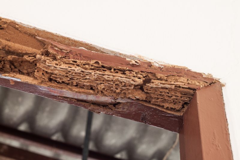 Structural Rot Repair in Alpharetta, GA