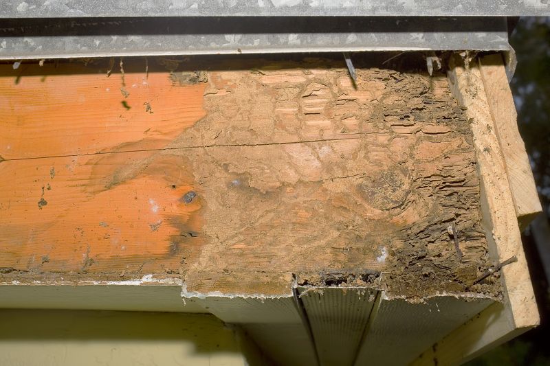 Structural Rot Repair in Kansas City, MO