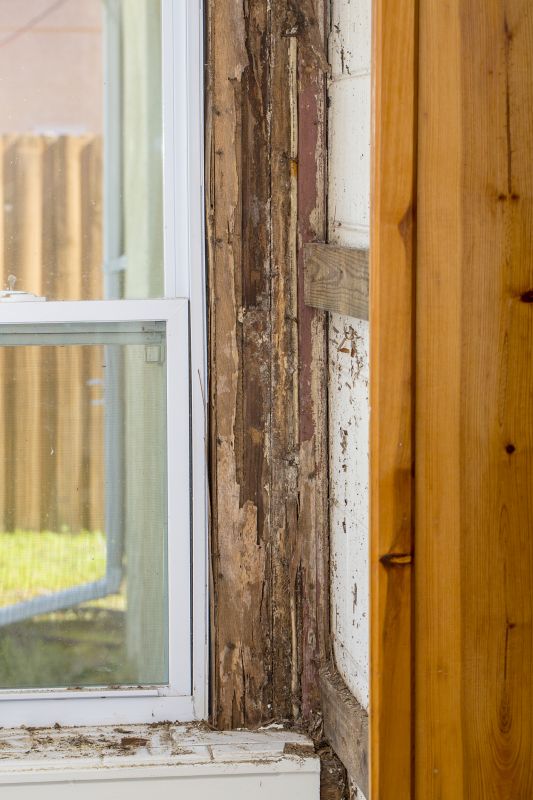 Termite Damage Repair Service in Longmont, CO