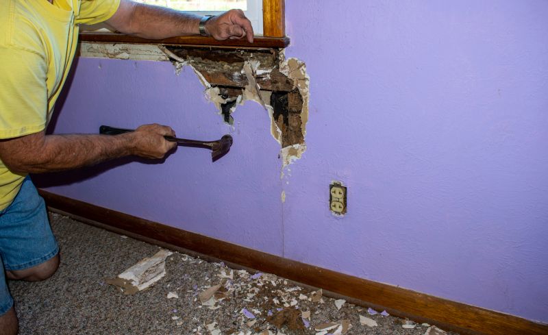 Termite Damage Repair Service in Conroe, TX