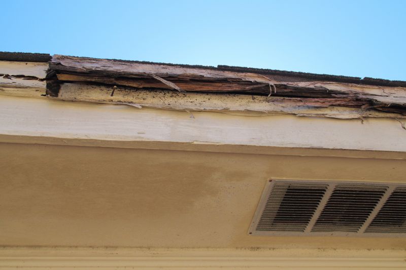 Termite Damage Restoration in Denver County, CO