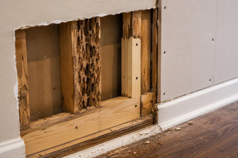 Termite Damage Restoration in Kansas City, MO