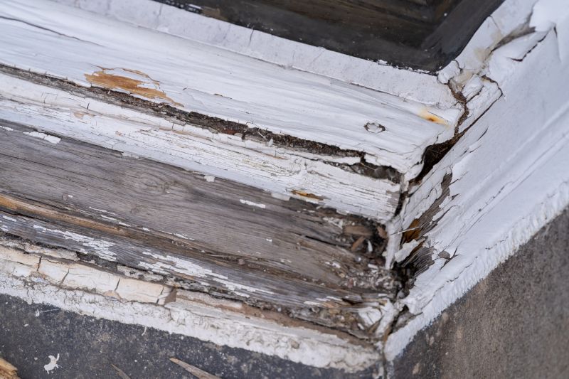 Wood Decay Removal in Conroe, TX