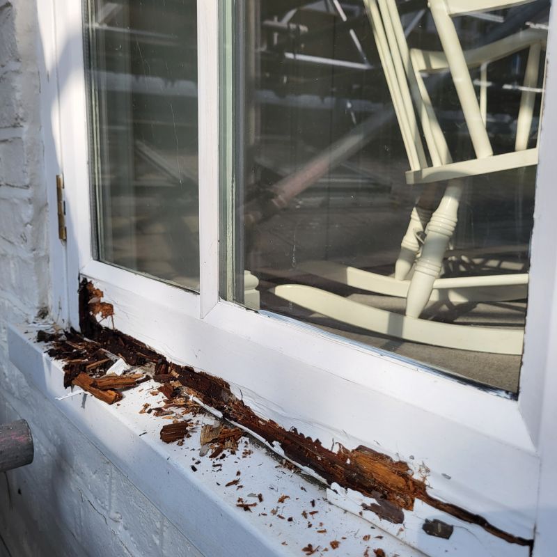Wood Decay Removal in Kansas City, MO