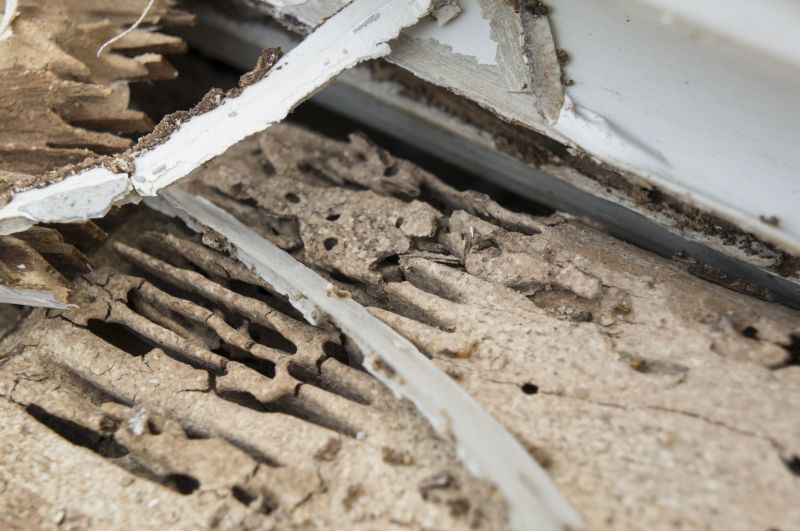 Wood Decay Repair in Kansas City, KS
