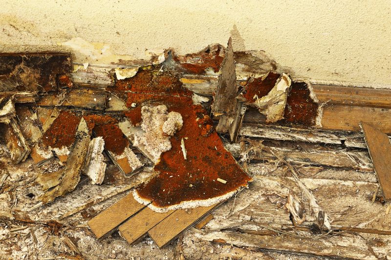 Wood Decay Repair in Denver, CO