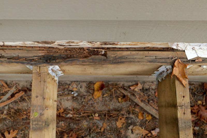 Wood Rot Repair Service