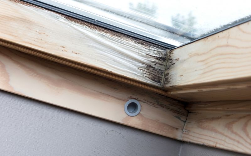 Wood Rot Repair Service