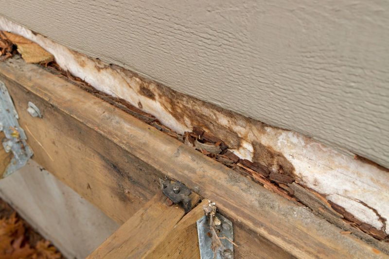 Wood Rot Repair Service
